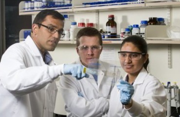 Boise State Researchers Awarded IGEM Grant to Combat Potato Rot