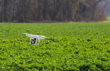 Drones Measure Nitrogen Application in Potato Farming