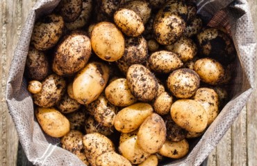 US Potato Exports Increase in May