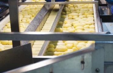 New Potato Processing Plant to Be Built in Tyumen, Russia