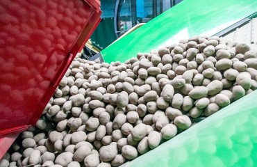 USD120m Project for Developing the Potato Processing Industry in Rwanda