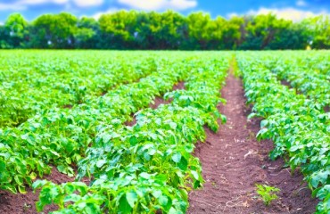 Post Holding Acquires Bob Evans Farm for USD1.5bn