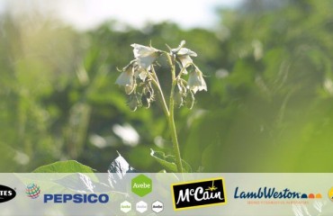 Major Processing Companies Team up for Research Project