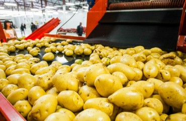 Starch Europe Regrets Chinese Decision on EU Potato Starch Duties