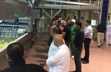 Fabcon Installs Potato Processing System in Kuwait Factory