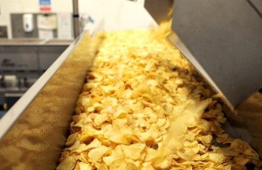 Burts Chips Invests GBP3m in New Frying Line in Plymouth