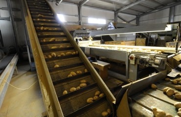 Study Shows Advantages of Building Processing Plants in Alberta (Canada) and Idaho (USA)