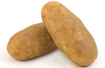 Maine Harvest Festival Will Launch New Potato Variety