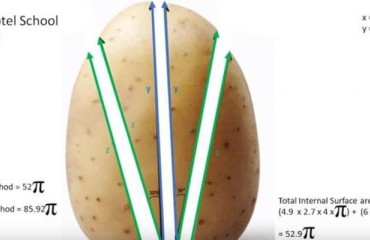 Essex University Researchers Claim They Have Found the Perfect Potato Cut
