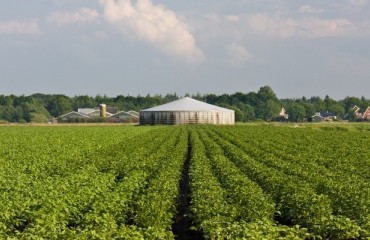 BUFCA Offers Solutions to Lower Risk of Damaging Stored Potatoes