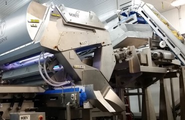 Key Technology Introduces VERYX® with Sort-to-Grade™ for Potato Strips