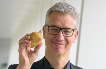 From Field to Fork: Expert Advice for the Entire Potato Production Chain