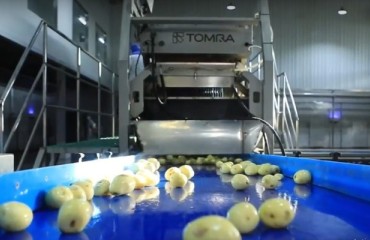 Case Study: A Look inside Kaida’s Processing Plants