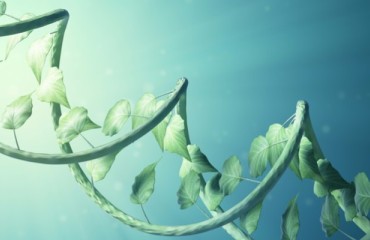 Bayer Crop Science and Ginkgo Bioworks Create Joint Venture
