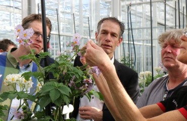 Potato Cooperative Agrico Expands Greenhouse Facilities