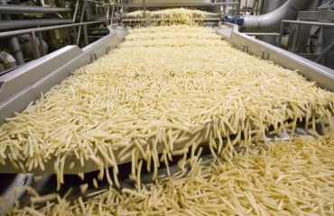 Lamb Weston Opens the First Large-scale French Fries Production Plant in Russia