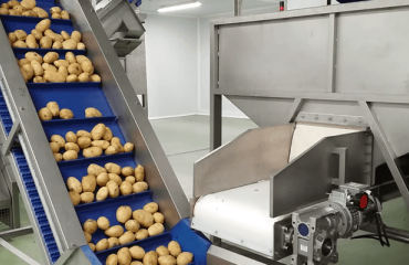 Case Study: Spanish Processor Improves Efficiency with New Steam Peeler
