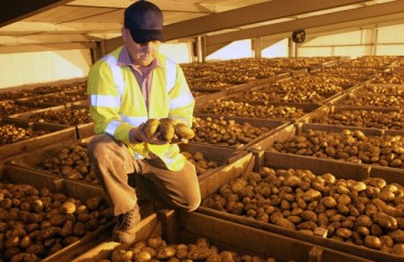 Potato Storage Builders Offer Exclusive Advice