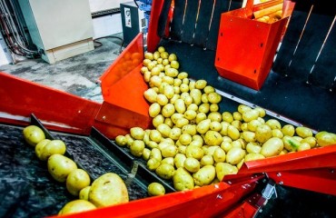 New Potato Facility May Come to University of Idaho, USA