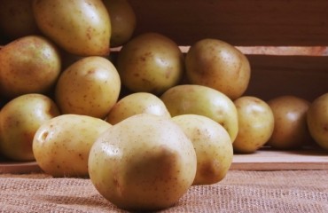 AHDB Launches Potatoes Store Managers’ Guide