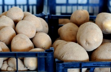 AHDB Potatoes Explores Cuban Export Potential