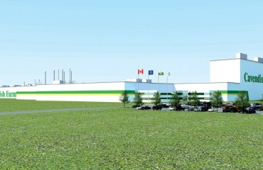 Cavendish Farms to Close facility in PEI due to Potato Shortage