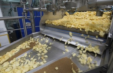 The Chips Market Looks Promising