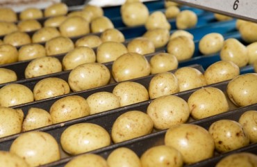 Produce Investments Agrees to GBP53m Takeover by Promethean