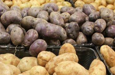 U.S. Potato Export Value Up, Volume Down