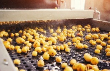 British Potato Producers on the Food Waste Reduction Roadmap