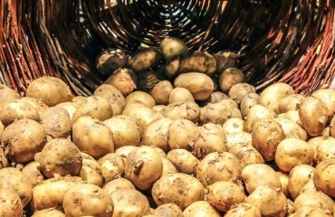 Australians Create ’Boutique’ Vodka and Export Puree from Potato Waste