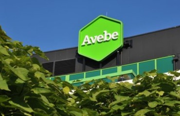 Avebe Records Performance Price for 2017/2018 Financial Year