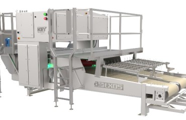 Key Technology Introduces New ADR EXOS for Potato Strips