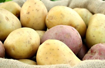 Potato Retail Sales in the US: Value Up, Volume Down