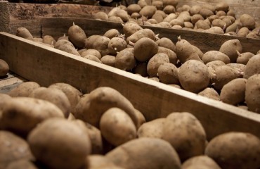 Ensuring Product Quality: Keeping an Eye on Store Control Systems