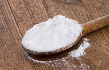 Starch Recovery Systems Market on the Rise
