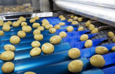 Exclusive: What’s the Standard for Purchasing New Conveyors?
