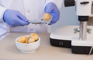 Exclusive: A Guide to Safe Food with the Help of X-ray Inspection