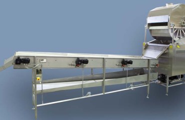 Rosenqvists Updates Star Wheel Fryer for Pellet Snacks