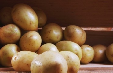 Cold Storages Drop Prices by 30% in India as Potato Production Decreases