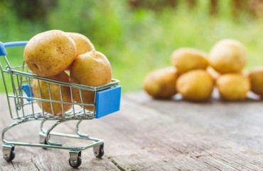 Trends in the UK: Organic Potatoes on the Rise