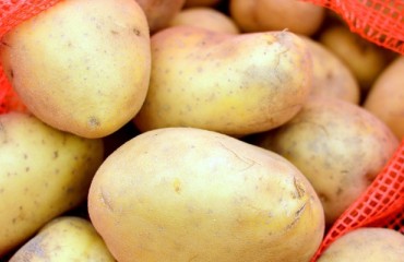 Increased Export Promotion Funds Received from USDA