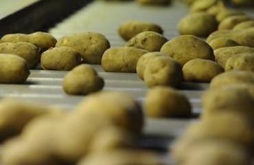 Frito-Lay Bets on Machine Learning
