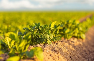 2Blades Foundation Sets Up Sustainability Council