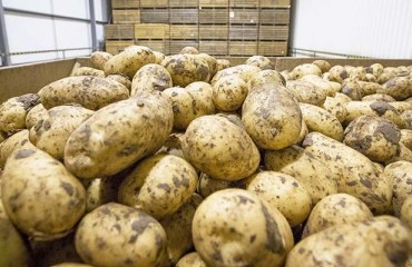ADHB Potatoes Welcomes New Sector Board Members