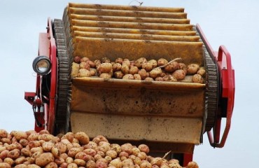 Irish Grower Takes Important Steps Towards Becoming More Sustainable