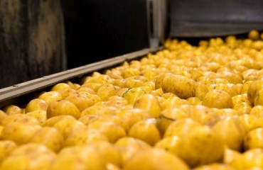 New Potato Processing Plant to Be Built in Kenya
