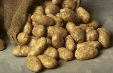 Potato Trading Company Scott & Newman Turns 100