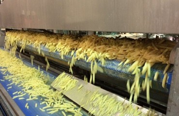 Belgian Potato Processing Sector Exceeded Five Million Tones in 2018