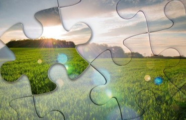 New Technologies to Fuel Sustainable Practices in the Food Industry